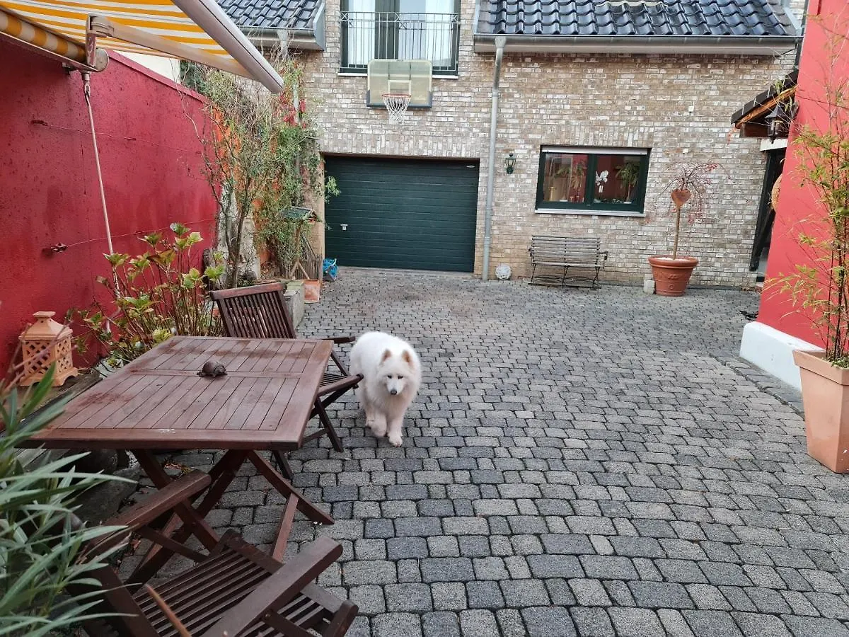 Schoenste Lage Am Rhein, Behagliches Haus Mit Kamin. Cologne 0*,