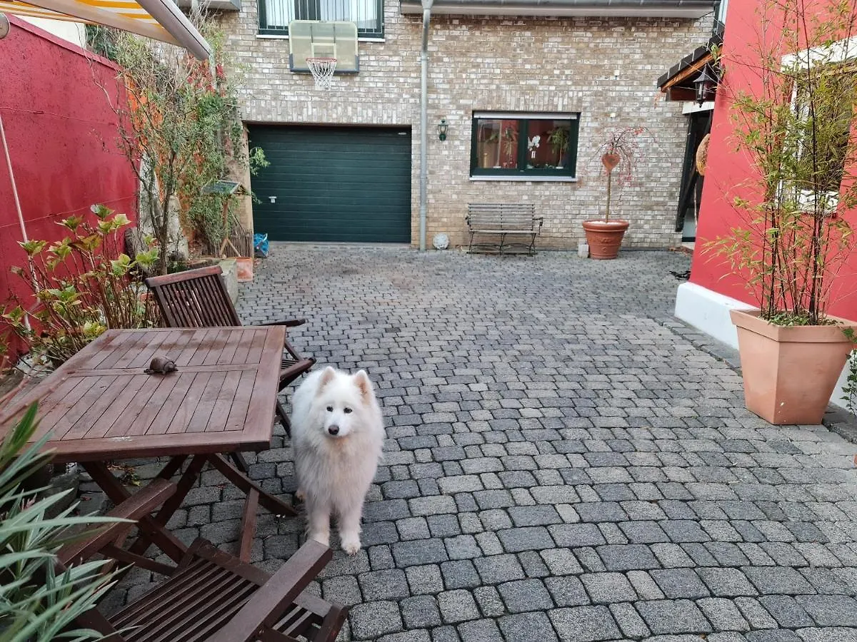 Schoenste Lage Am Rhein, Behagliches Haus Mit Kamin. Cologne Germany